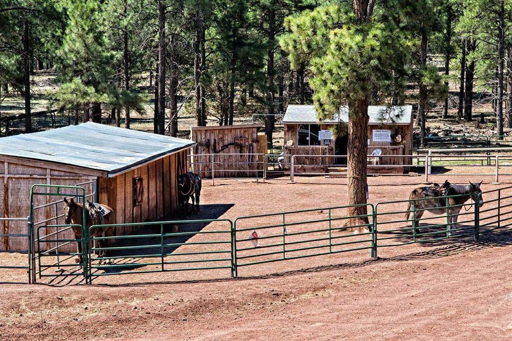 Mountain Ranch Resort At Beacon Hill Williams Eksteriør bilde