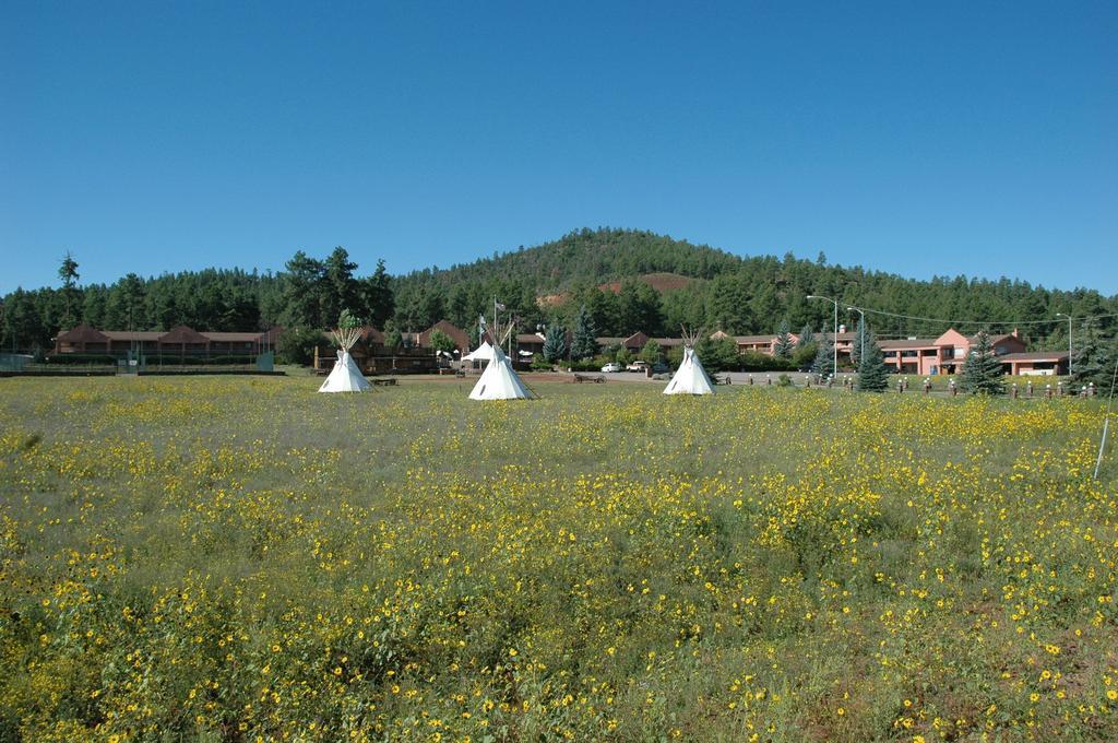 Mountain Ranch Resort At Beacon Hill Williams Eksteriør bilde